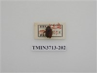 藏品(埔里胖絨毛金龜)的圖片